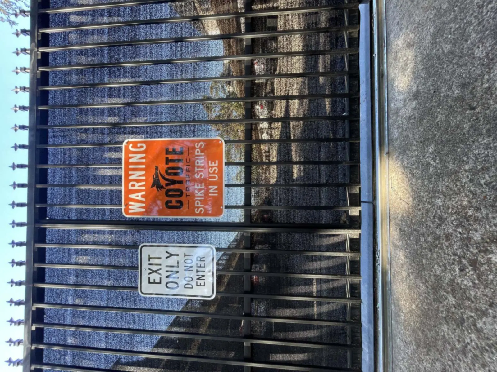 Orange warning sign reading Coyote Traffic spike strips in use, zip-tied to a black iron exit-only gate in bright morning light